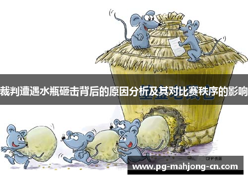 裁判遭遇水瓶砸击背后的原因分析及其对比赛秩序的影响